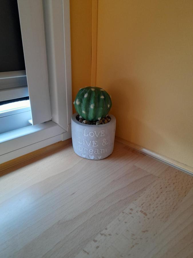 A Casinha Da Aguieira Na Lands Hause L6 Apartamento Burinhosa Exterior foto